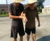 <strong>˾_չݾ</strong>